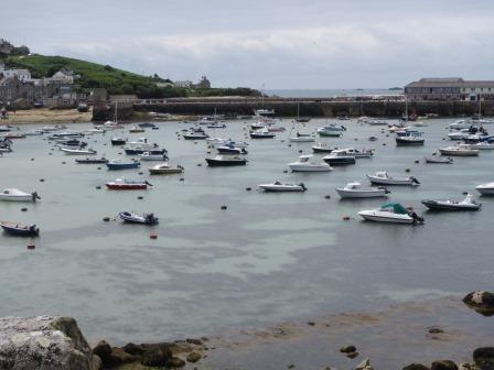 seagrass mooring research boat